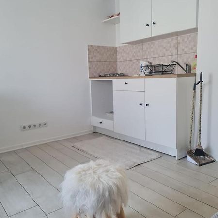Cute Modern Apartman Zagreb Leilighet Eksteriør bilde